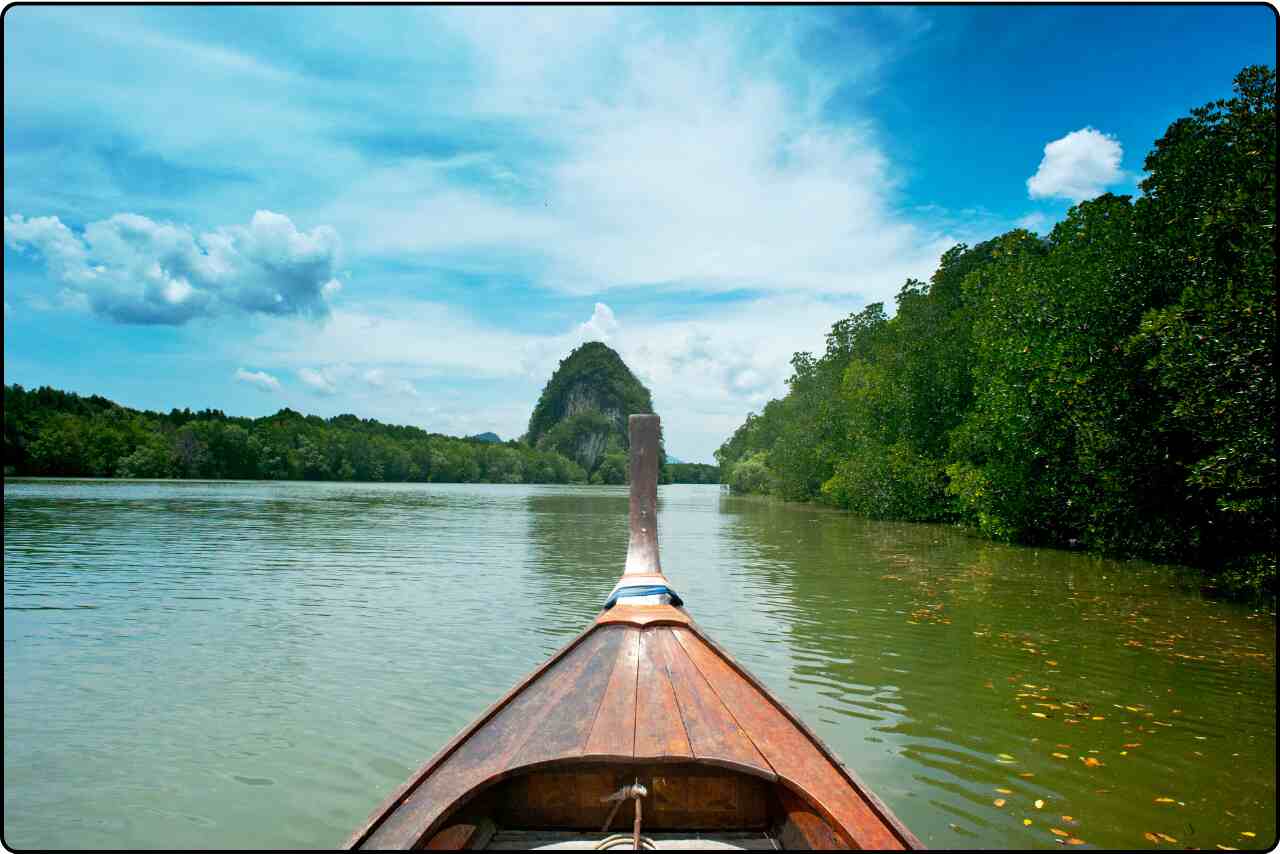 Brown wooden canoe resting on the edge of a forest, surrounded by tall trees